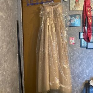 Champagne/Gold dress